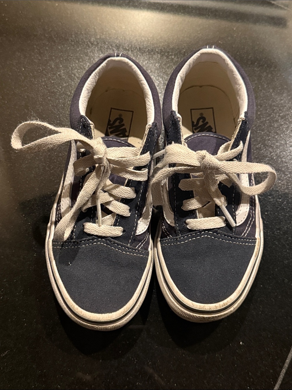 Vans Kids Navy Canvas Skate Sneakers with White Stripe